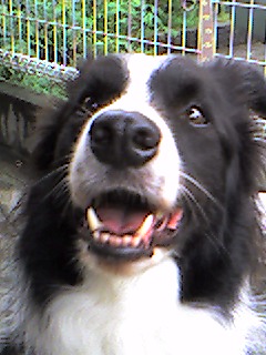 a0065800_23514748.jpg
