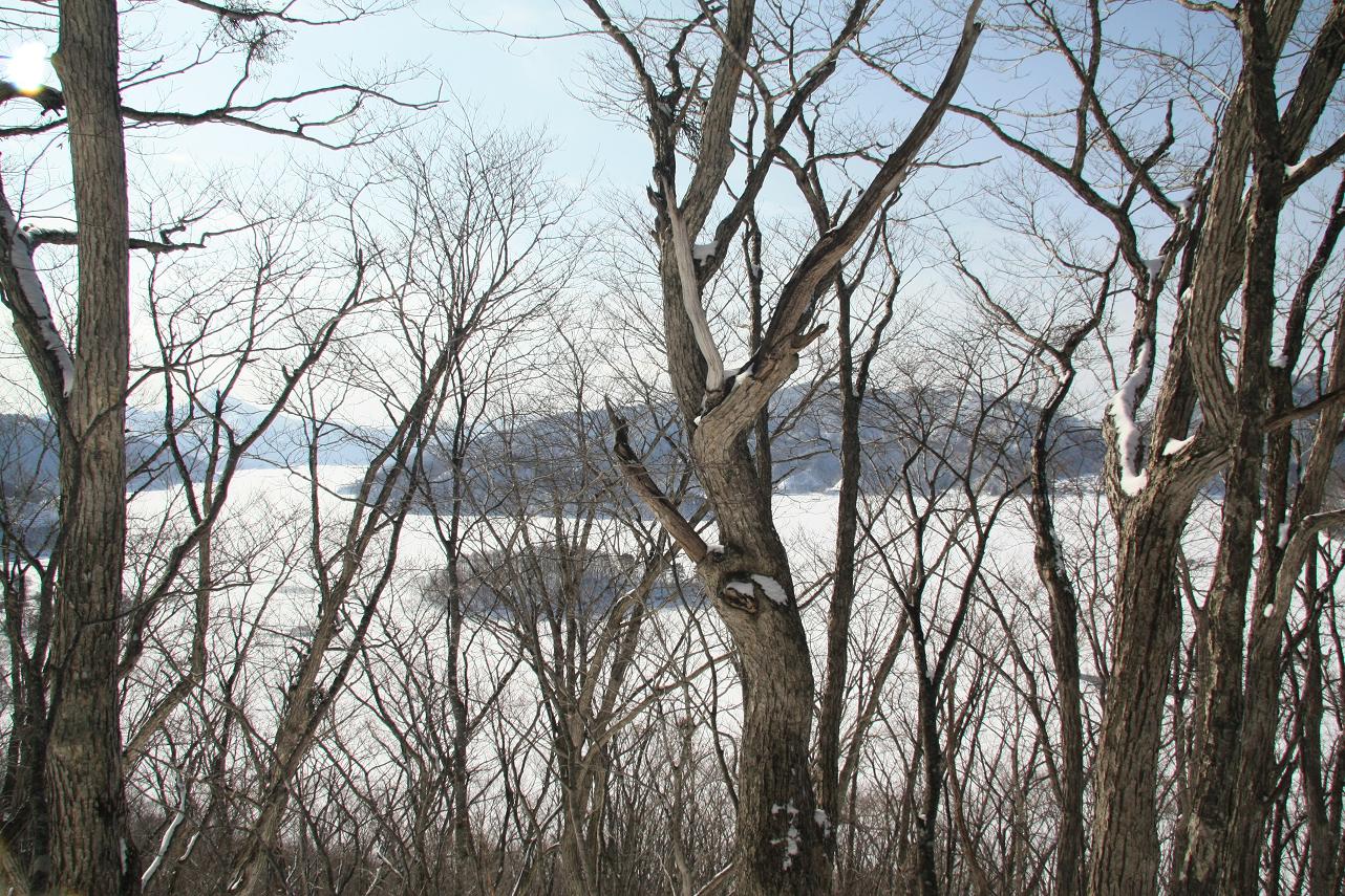 f0034602_1829113.jpg