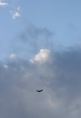 f0041606_2011644.jpg