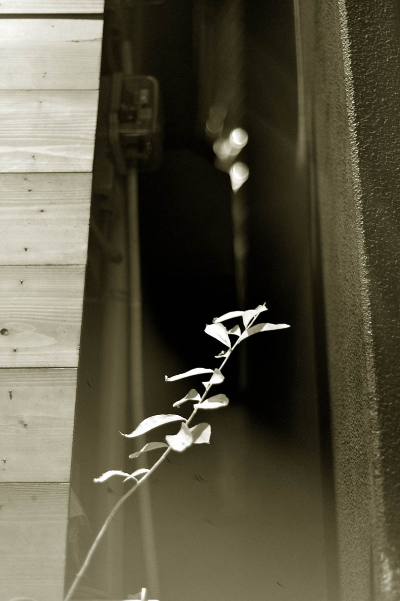 a0059621_23413074.jpg