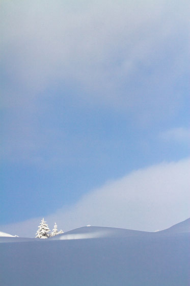 e0025030_17363845.jpg