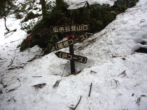d0075131_0562565.jpg