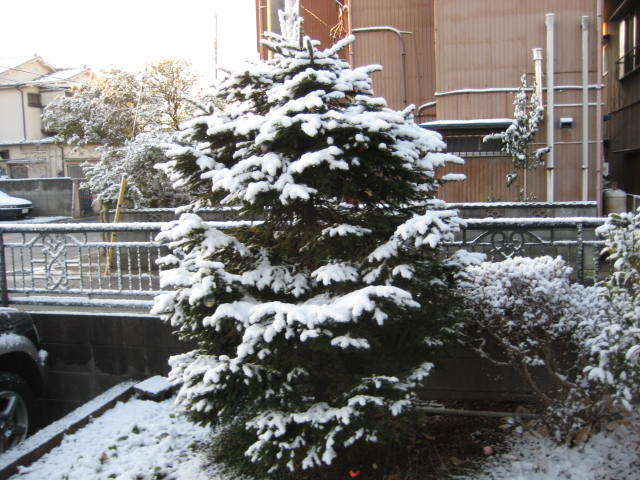 e0166032_18352862.jpg