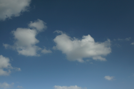 a0097735_22541753.jpg