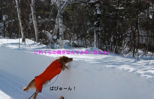 f0039538_23115860.jpg