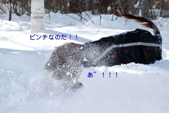 f0039538_23204360.jpg