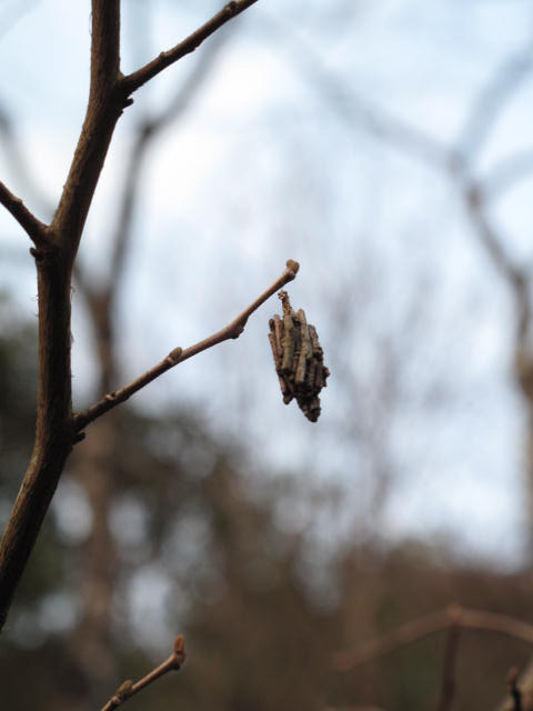 d0097144_16334895.jpg
