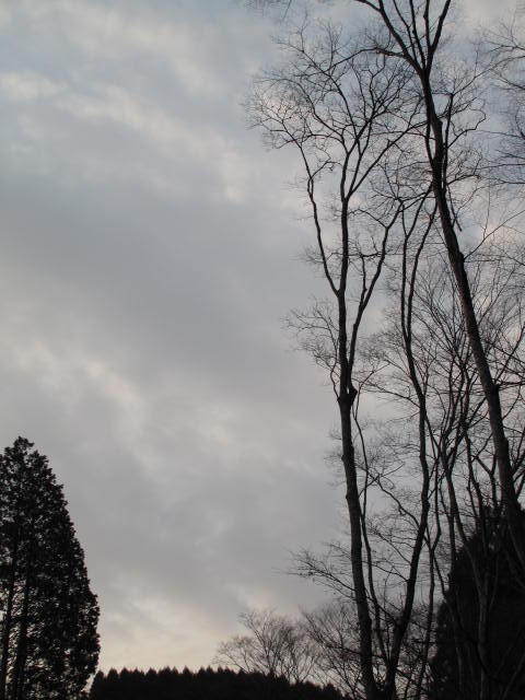 d0097144_16554011.jpg