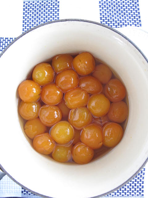 d0097144_17491421.jpg