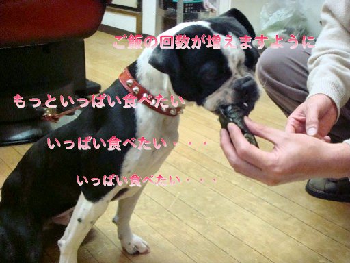 b0183452_0314659.jpg