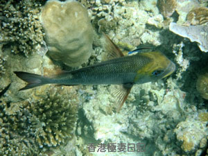 f0190653_96153.jpg