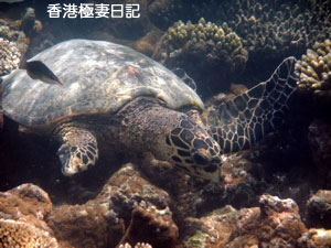 f0190653_963492.jpg