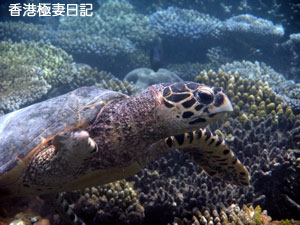 f0190653_965763.jpg