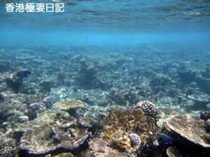 f0190653_982364.jpg