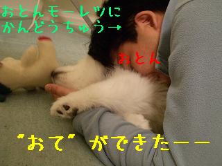 a0166954_16384087.jpg