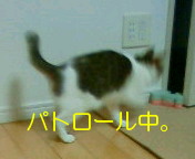 c0052756_20362296.jpg