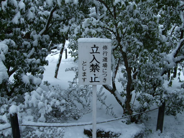 f0203260_23215829.jpg