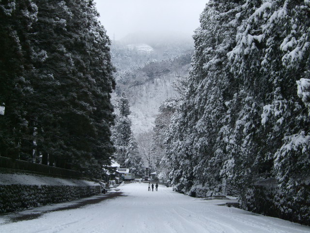 f0203260_23251314.jpg