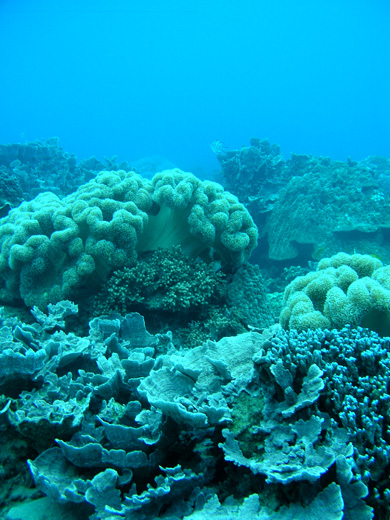 b0062363_2195562.jpg