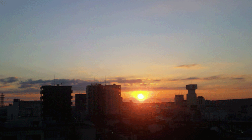 b0101263_16534711.gif