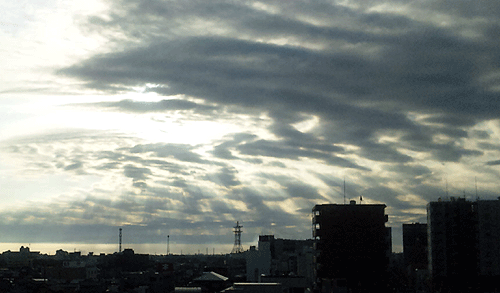 b0101263_16541088.gif