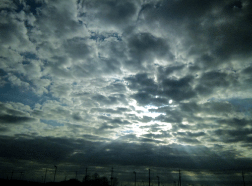 b0101263_16541891.gif