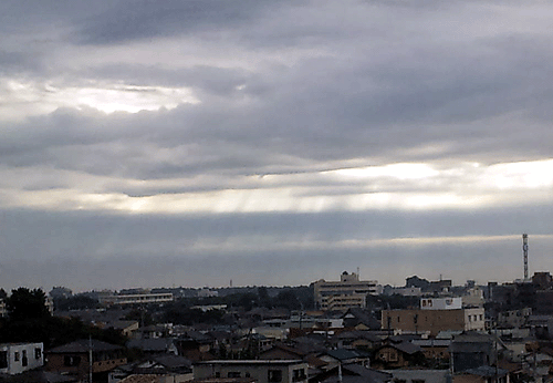 b0101263_1654323.gif