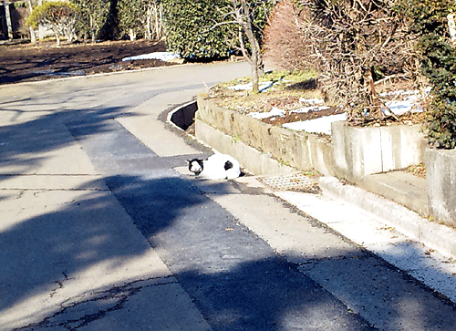 b0101263_1658478.gif