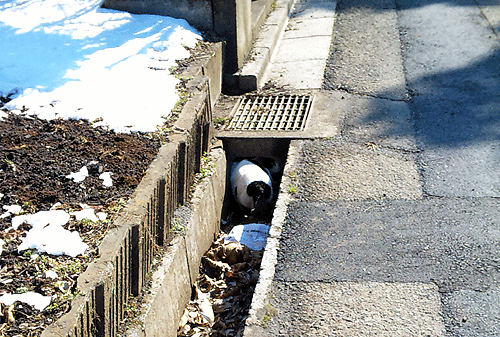 b0101263_16585352.gif