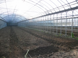 f0055264_034956.jpg
