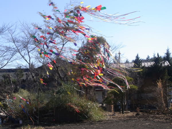e0153367_17344032.jpg