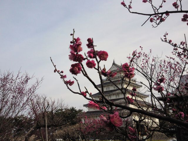 c0042869_20401660.jpg