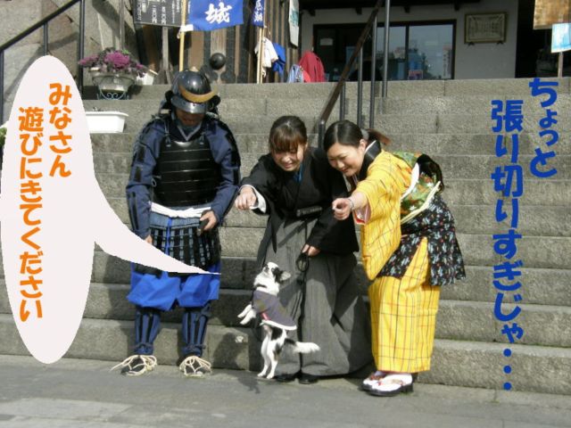 c0042869_20424382.jpg