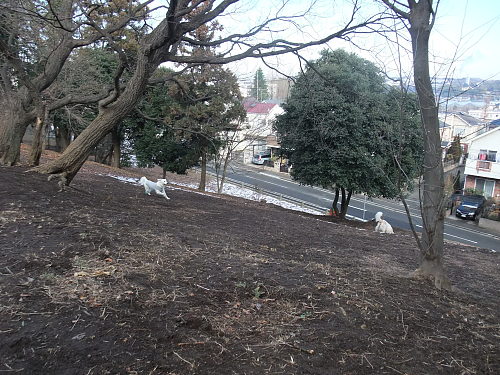 b0136381_12344013.jpg