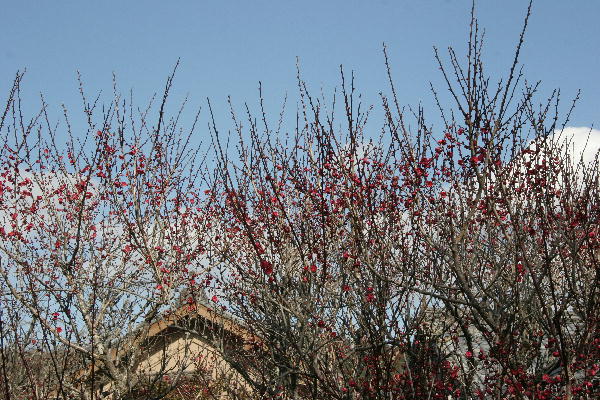 b0171185_23153960.jpg