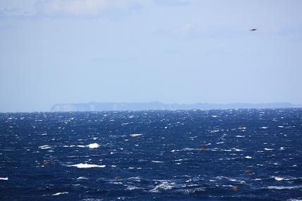 c0204385_14385987.jpg