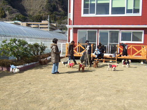 b0104592_20293064.jpg
