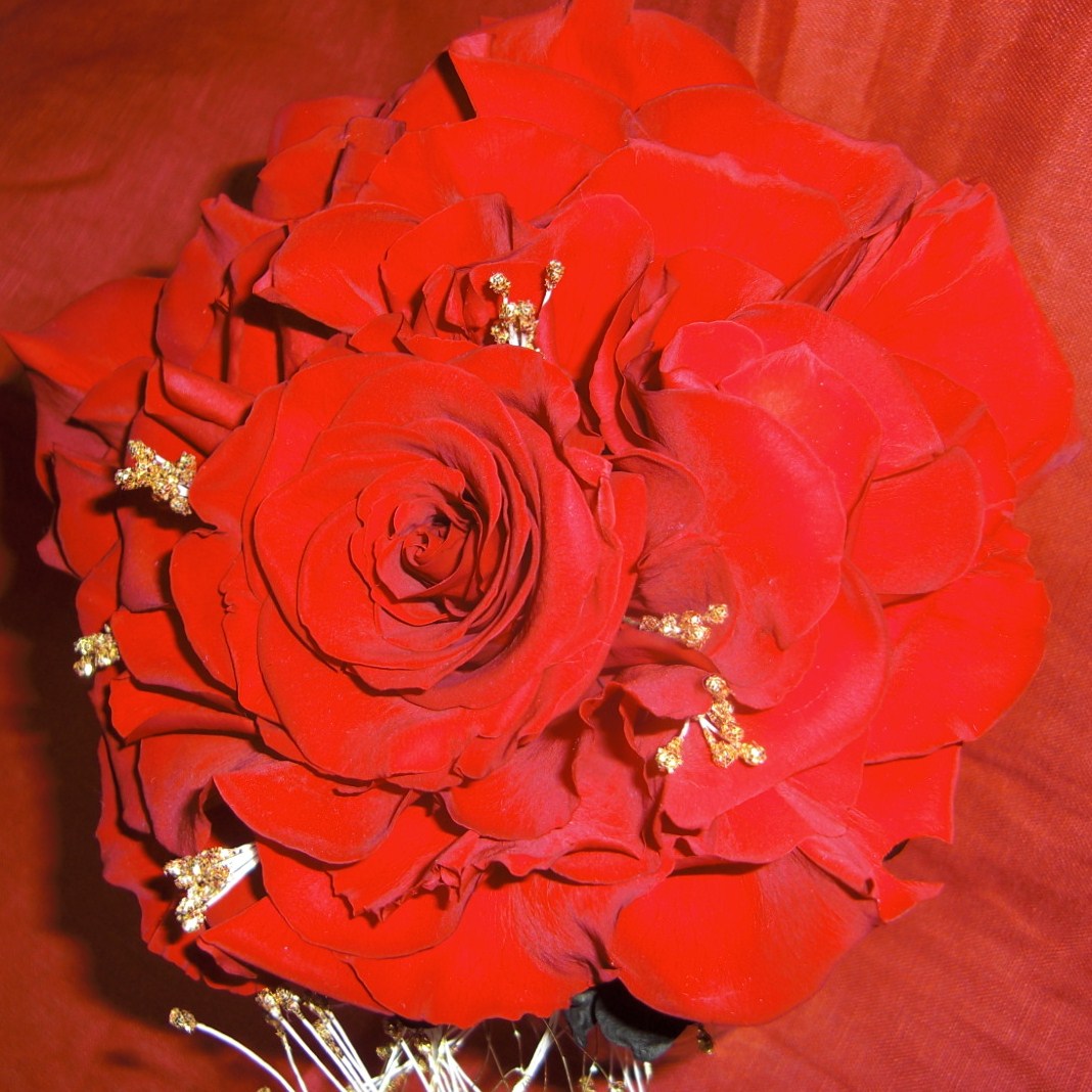 c0172194_7241646.jpg