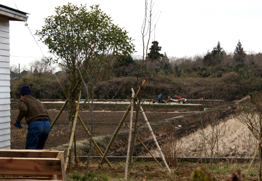 d0100095_1618247.jpg