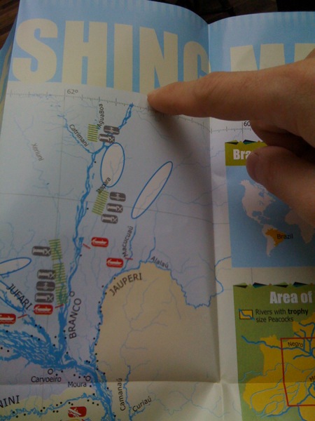 f0210098_1550865.jpg
