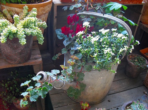 c0227800_72981.jpg