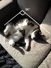 c0035001_15155340.jpg
