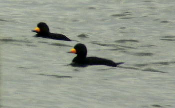 c0059002_19534753.jpg