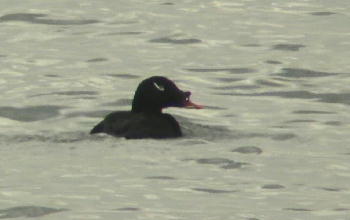 c0059002_2015647.jpg