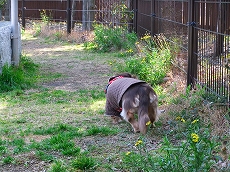 c0228404_559261.jpg