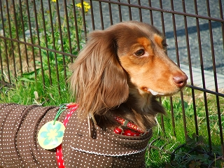 c0228404_603252.jpg