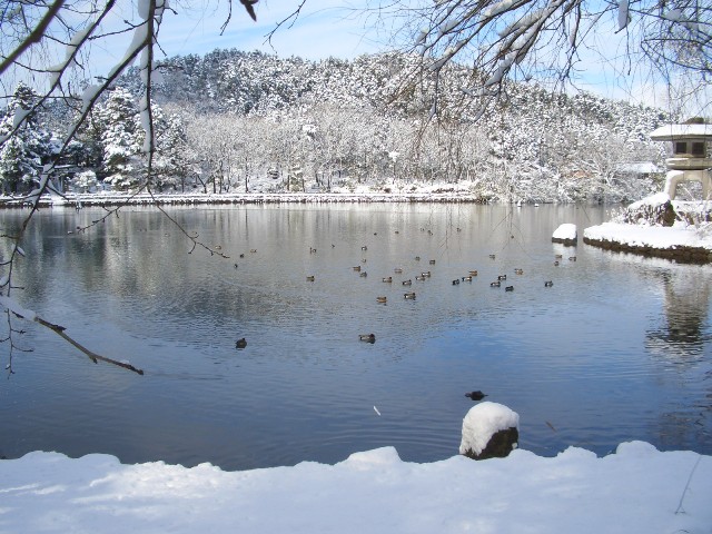 e0033713_10403589.jpg