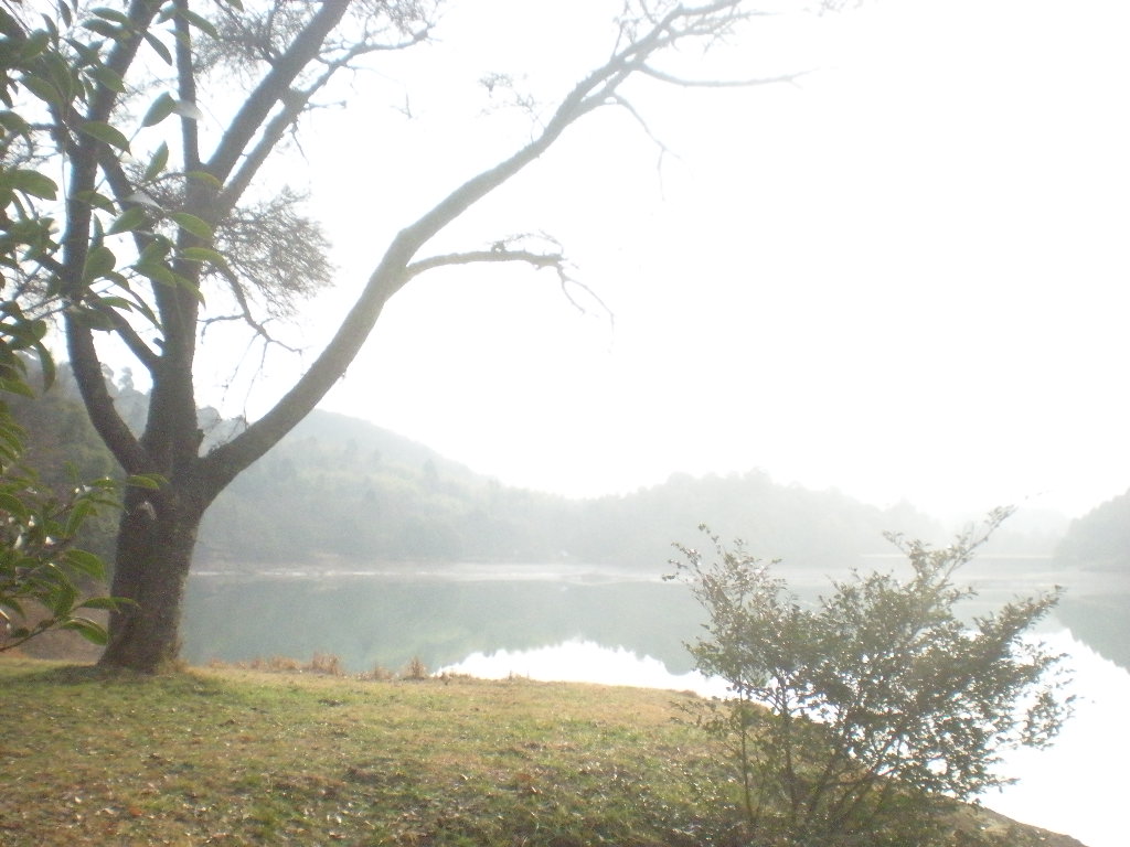 a0125419_2133116.jpg