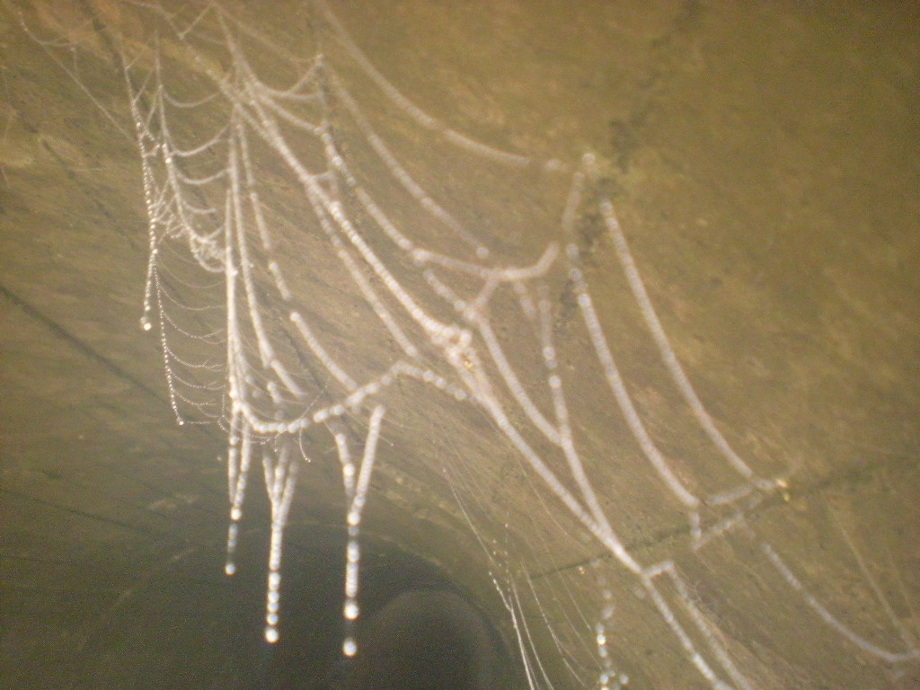 a0125419_21354947.jpg