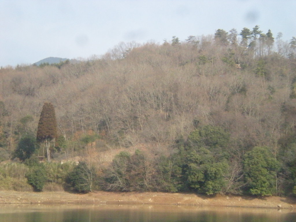 a0125419_2149251.jpg